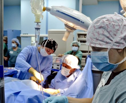 A skilled surgical team working together
